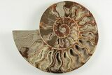 Cut & Polished, Agatized Ammonite Fossil - Madagascar #200147-4